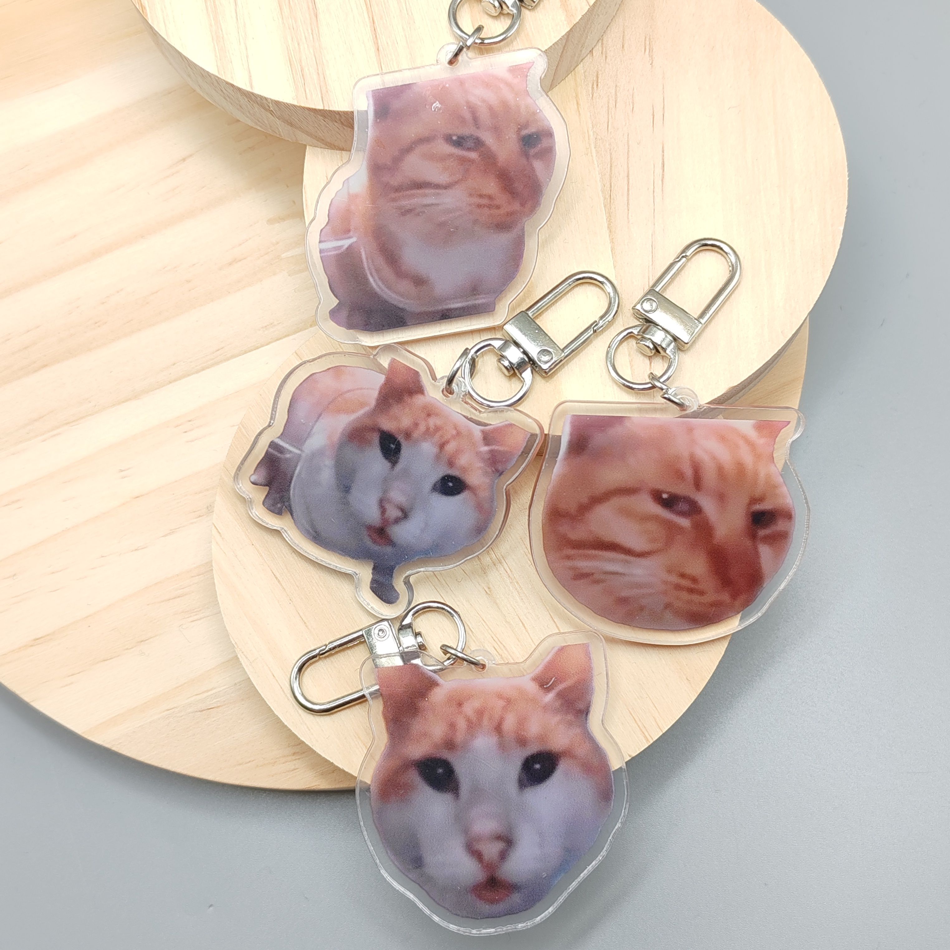 Retro Gaming Keychain - Silly Cat Feeder Camera,Cats Cat Looking