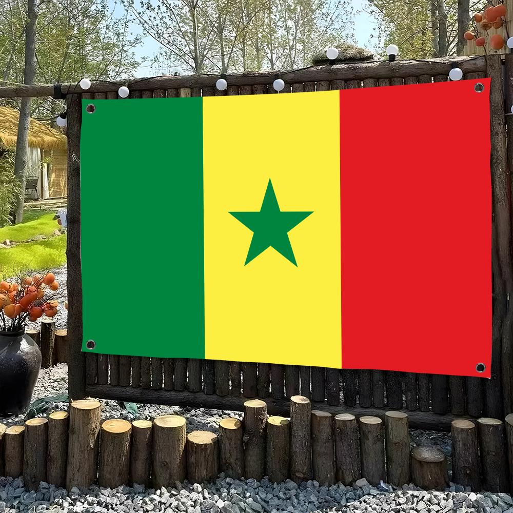 1PC Classic Senegal Flags Retr - Retro Gaming Banner review and price